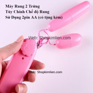 Máy Rung 2 Trứng – Tùy Chỉnh Chế Độ Rung, Sử Dụng 2 Pin AA (Có Tặng Kèm)