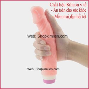 Dv Giả Giá Rẻ 1 Chế Độ Rung