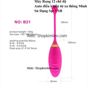 Máy Rung 12 Chế Độ – Điều Khiển Từ Xa Thông Minh, Sạc USB (Mã: B21)