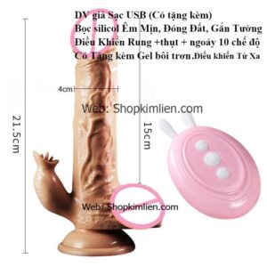 DV Giả Sạc USB Cao Cấp – Có Điều Khiển Từ Xa