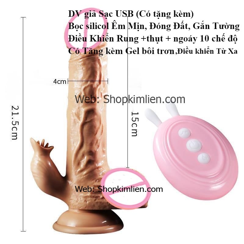 DV Giả Sạc USB Cao Cấp – Có Điều Khiển Từ Xa