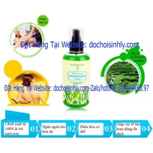 gel.bôi.trơn siêu.cao.cấp không.vị & có.vịtrà xanh 200ml
